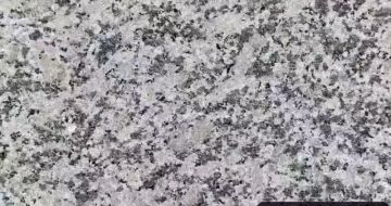 甘肃 芙蓉白（芝麻白大花）火烧面