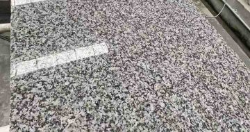 甘肃 芙蓉白光面