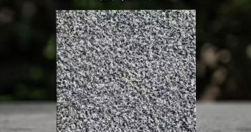 甘肃 芝麻黑荔枝面