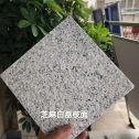 甘肃 芝麻白荔枝面干挂