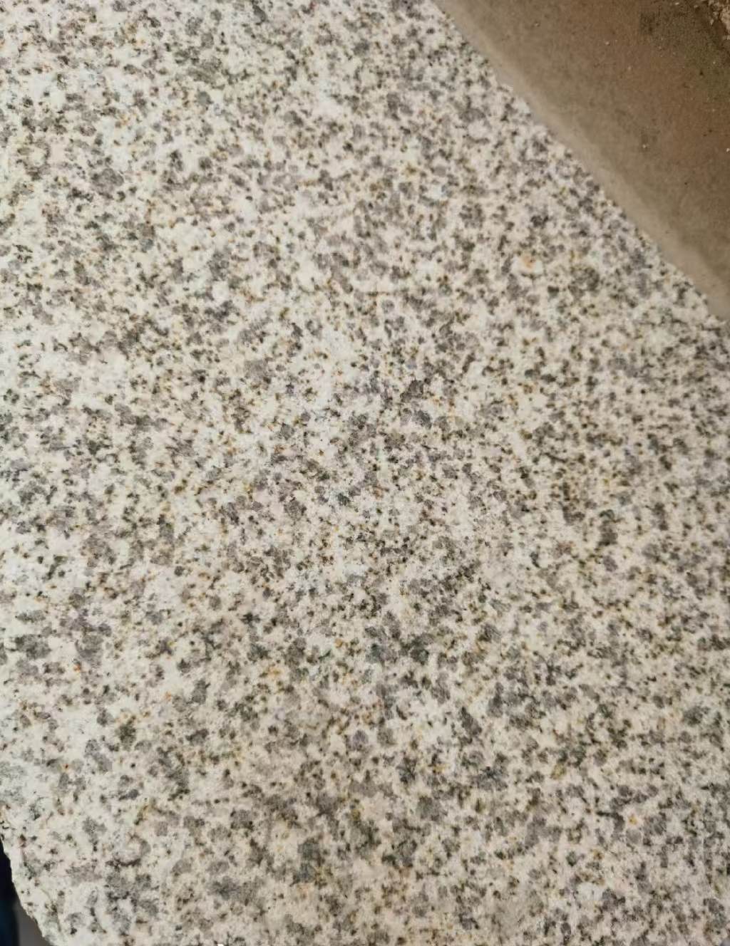 甘肃 黄金麻中黄光面