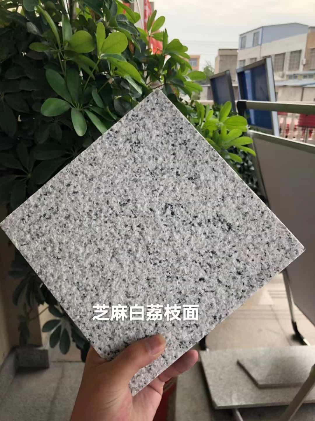 甘肃 芝麻白荔枝面干挂