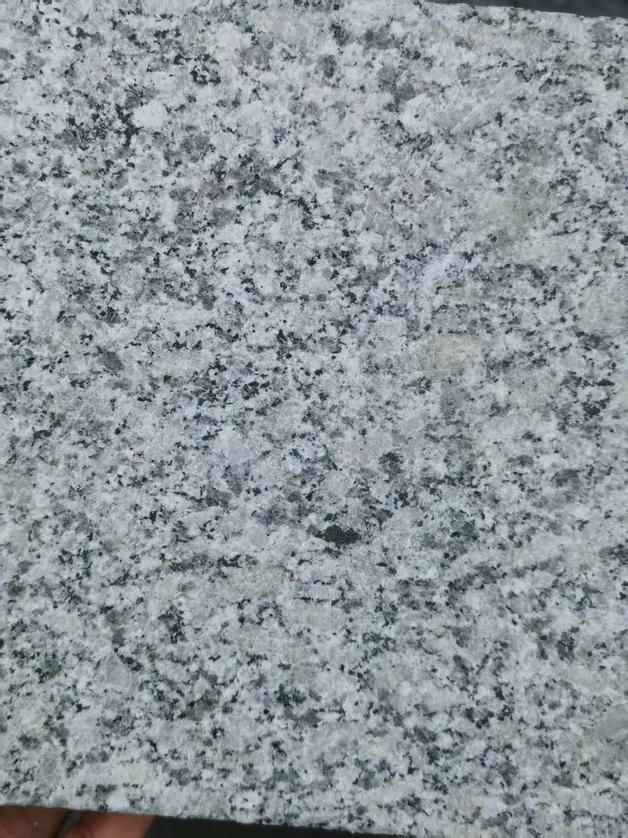 甘肃 芙蓉白火烧面